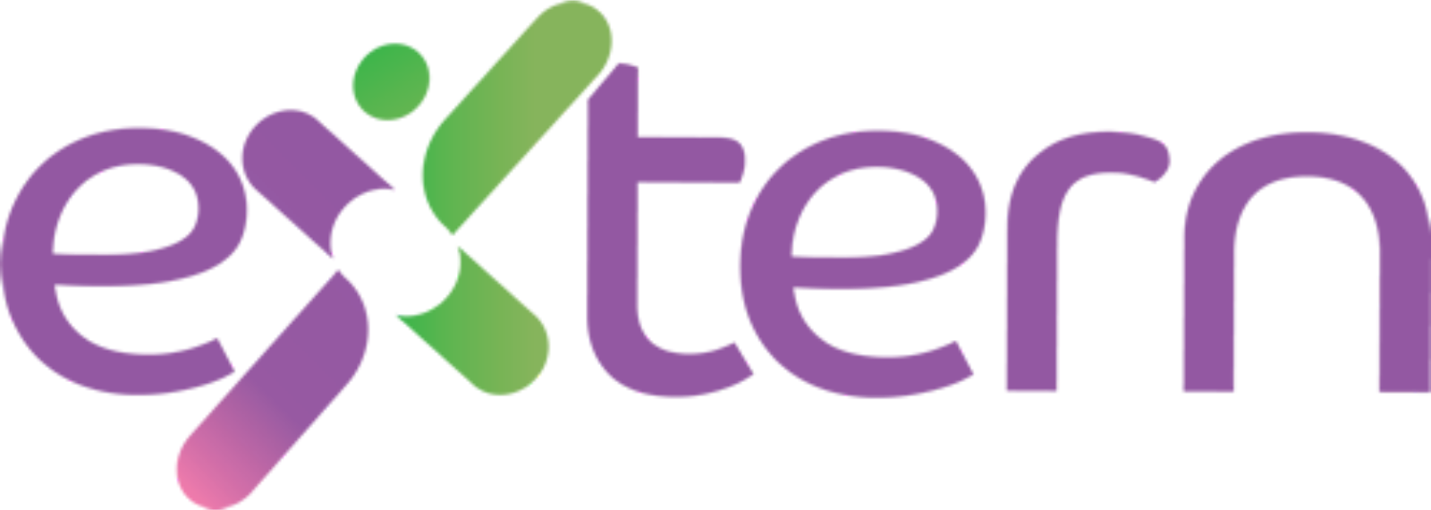 Extern logo